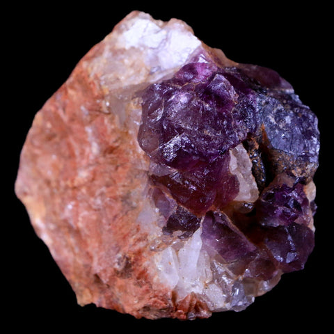 2.6" Purple Fluorite on White Barite Blades Crystal Minerals Taouirirt Morocco - Fossil Age Minerals