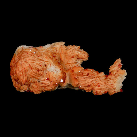 3.8" Sparkly Orange Vanadinite Crystals Orange Barite Blades Mineral Mabladen Morocco