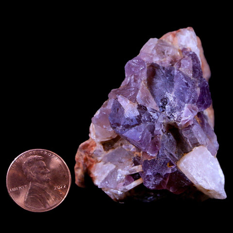 2.3" Purple Fluorite on White Barite Blades Crystal Minerals Taouirirt Morocco - Fossil Age Minerals