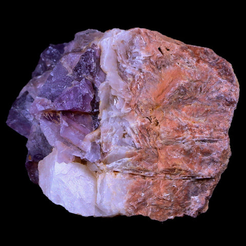 2.3" Purple Fluorite on White Barite Blades Crystal Minerals Taouirirt Morocco - Fossil Age Minerals