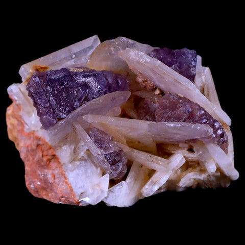 2.6" Purple Fluorite on White Barite Blades Crystal Minerals Taouirirt Morocco - Fossil Age Minerals