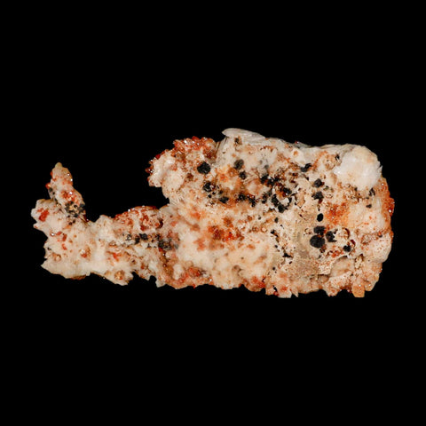 3.8" Sparkly Orange Vanadinite Crystals Orange Barite Blades Mineral Mabladen Morocco - Fossil Age Minerals