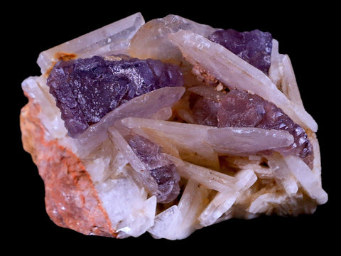 2.6" Purple Fluorite on White Barite Blades Crystal Minerals Taouirirt Morocco - Fossil Age Minerals
