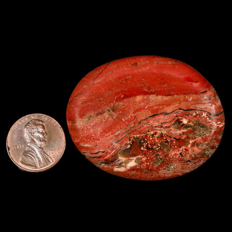 2" Polished Natural Brecciated Jasper Stone Worry Palm Stone Minas Gerais Brazil - Fossil Age Minerals