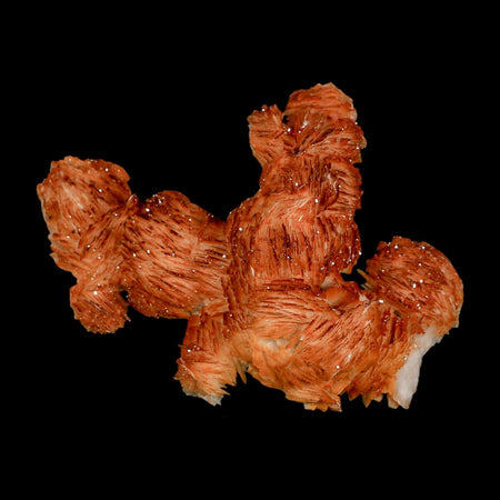 4" Sparkly Orange Vanadinite Crystals Orange Barite Blades Mineral Mabladen Morocco