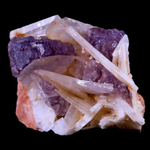 2.6" Purple Fluorite on White Barite Blades Crystal Minerals Taouirirt Morocco - Fossil Age Minerals