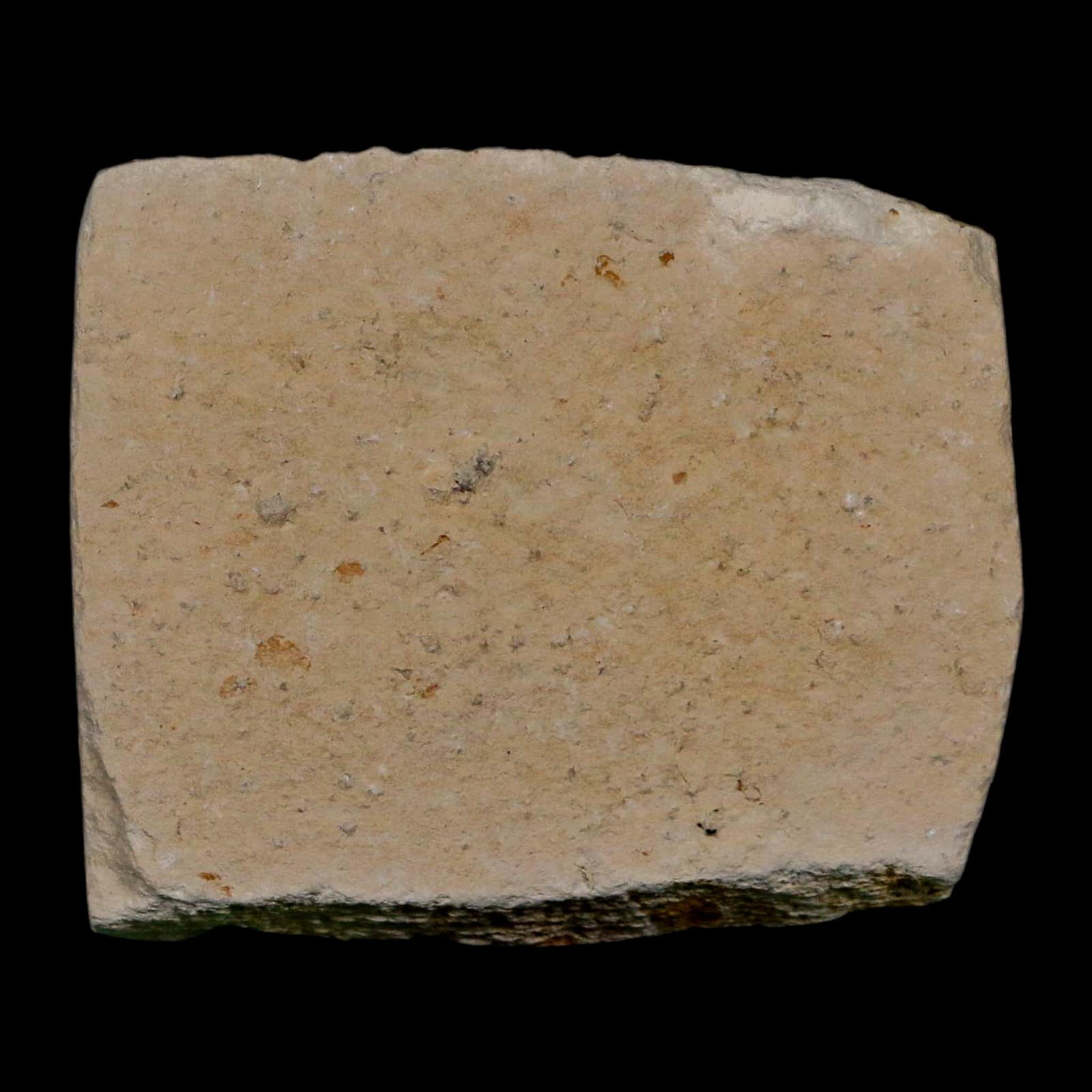 1" Hemisaurida Fossil Fish Plate Cretaceous Dinosaur Age Hakel Lebanon - Fossil Age Minerals