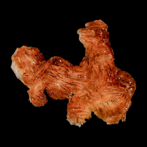 4" Sparkly Orange Vanadinite Crystals Orange Barite Blades Mineral Mabladen Morocco - Fossil Age Minerals