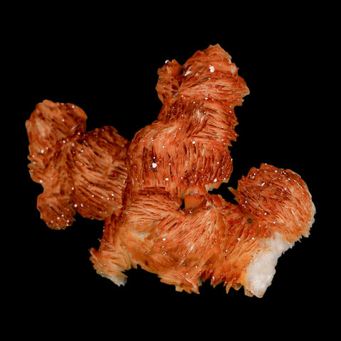 4" Sparkly Orange Vanadinite Crystals Orange Barite Blades Mineral Mabladen Morocco - Fossil Age Minerals