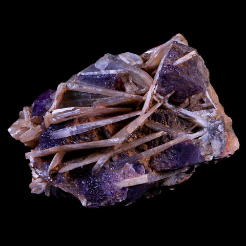 4.4" Purple Fluorite on White Barite Blades Crystal Minerals Taouirirt Morocco - Fossil Age Minerals