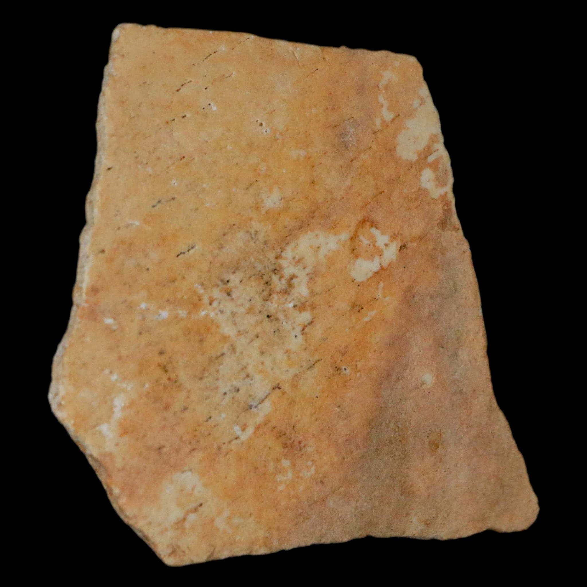 2.4" Elephant Bird Aepyornis Maximus Egg Shell Specimen Late Pleistocene Madagascar - Fossil Age Minerals