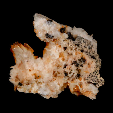 1.7" Sparkly Orange Vanadinite Crystals Orange Barite Blades Mineral Mabladen Morocco - Fossil Age Minerals