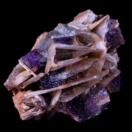 4.4" Purple Fluorite on White Barite Blades Crystal Minerals Taouirirt Morocco