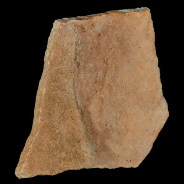2.4