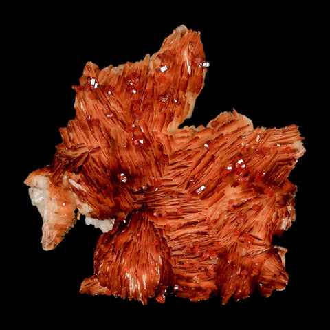 2.7" Sparkly Orange Vanadinite Crystals Orange Barite Blades Mineral Mabladen Morocco - Fossil Age Minerals