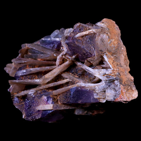 4.4" Purple Fluorite on White Barite Blades Crystal Minerals Taouirirt Morocco - Fossil Age Minerals