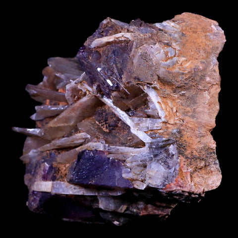 4.4" Purple Fluorite on White Barite Blades Crystal Minerals Taouirirt Morocco - Fossil Age Minerals