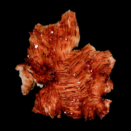 2.7" Sparkly Orange Vanadinite Crystals Orange Barite Blades Mineral Mabladen Morocco