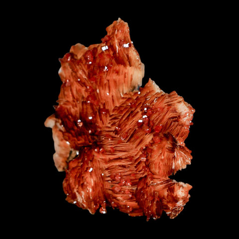 2.7" Sparkly Orange Vanadinite Crystals Orange Barite Blades Mineral Mabladen Morocco - Fossil Age Minerals
