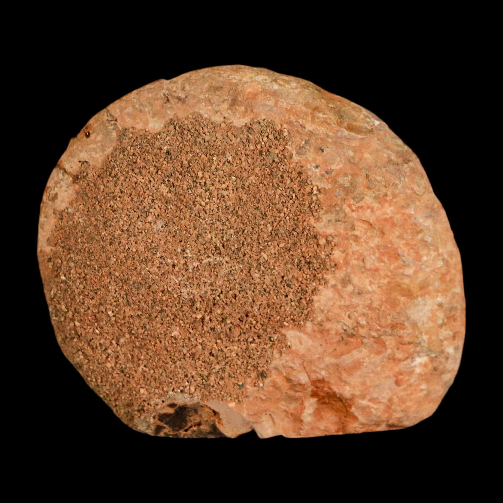 1.9" Ammonite Fossil Polished, Cut Half's Atlas Mountains Morocco Jurassic Age COA - Fossil Age Minerals