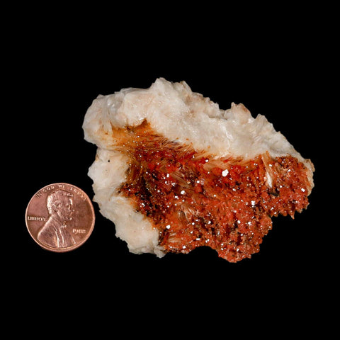 2.5" Sparkly Orange Vanadinite Crystals Orange Barite Blades Mineral Mabladen Morocco - Fossil Age Minerals