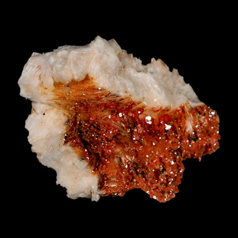 2.5" Sparkly Orange Vanadinite Crystals Orange Barite Blades Mineral Mabladen Morocco - Fossil Age Minerals