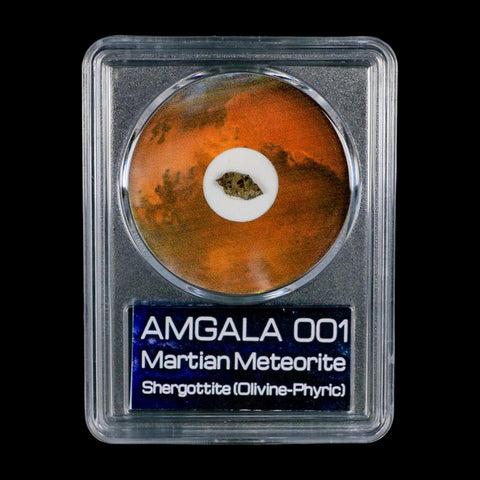 Mars Rock Martian Meteorite Amgala 001 Shergottite Olivine-Phyric COA And Display
