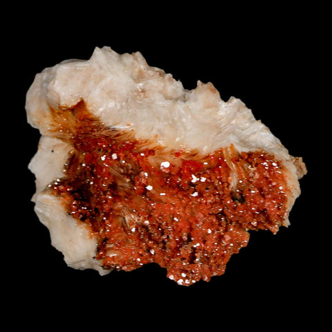 2.5" Sparkly Orange Vanadinite Crystals Orange Barite Blades Mineral Mabladen Morocco - Fossil Age Minerals