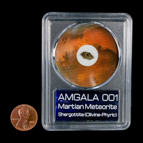 Mars Rock Martian Meteorite Amgala 001 Shergottite Olivine-Phyric COA And Display