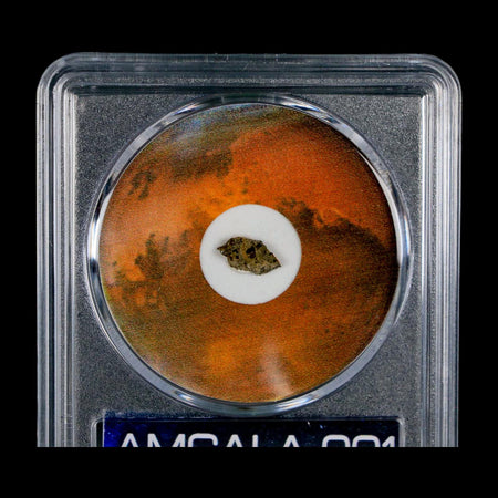 Mars Rock Martian Meteorite Amgala 001 Shergottite Olivine-Phyric COA And Display