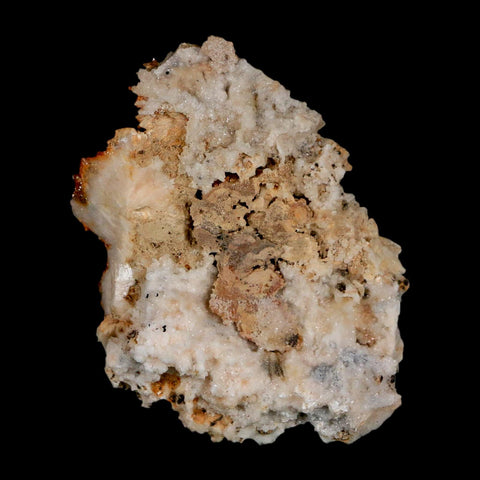 2.5" Sparkly Orange Vanadinite Crystals Orange Barite Blades Mineral Mabladen Morocco - Fossil Age Minerals