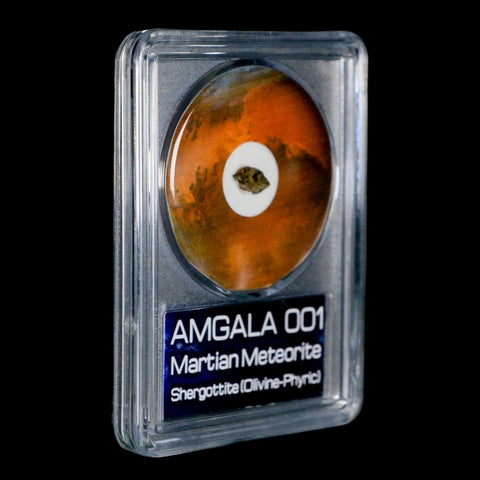 Mars Rock Martian Meteorite Amgala 001 Shergottite Olivine-Phyric COA And Display