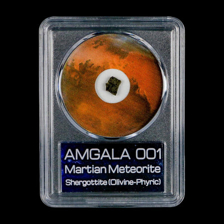 Mars Rock Martian Meteorite Amgala 001 Shergottite Olivine-Phyric COA And Display
