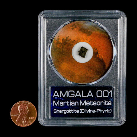 Mars Rock Martian Meteorite Amgala 001 Shergottite Olivine-Phyric COA And Display