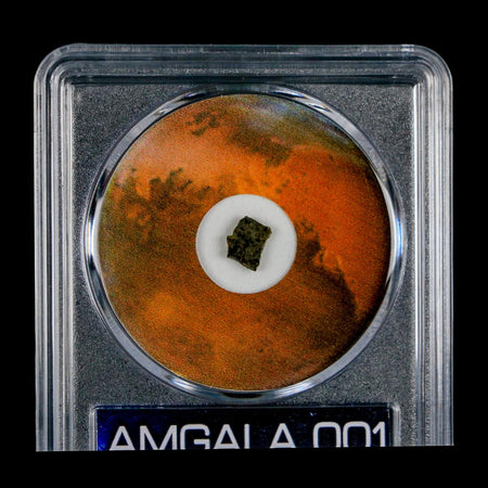 Mars Rock Martian Meteorite Amgala 001 Shergottite Olivine-Phyric COA And Display