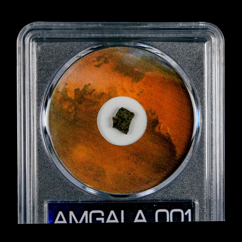 Mars Rock Martian Meteorite Amgala 001 Shergottite Olivine-Phyric COA And Display