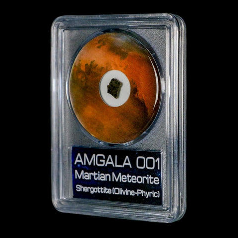 Mars Rock Martian Meteorite Amgala 001 Shergottite Olivine-Phyric COA And Display