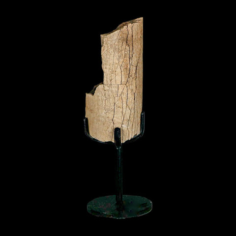 3.5" Hadrosaur Dinosaur Fossil Rib Bone Hell Creek FM MT COA Metal Stand