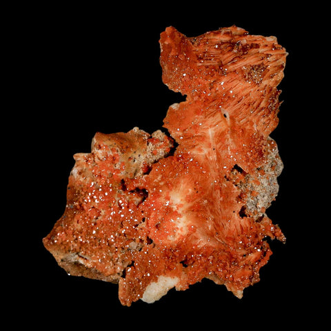 2.5" Sparkly Orange Vanadinite Crystals Orange Barite Blades Mineral Mabladen Morocco - Fossil Age Minerals