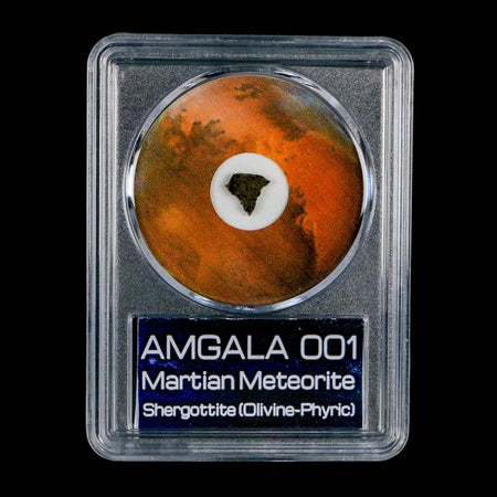 Mars Rock Martian Meteorite Amgala 001 Shergottite Olivine-Phyric COA And Display