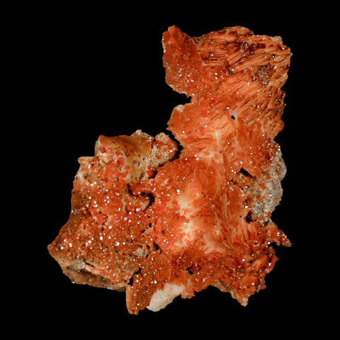 2.5" Sparkly Orange Vanadinite Crystals Orange Barite Blades Mineral Mabladen Morocco - Fossil Age Minerals