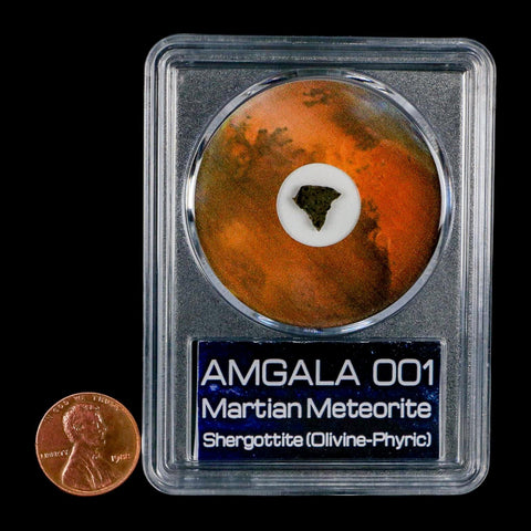 Mars Rock Martian Meteorite Amgala 001 Shergottite Olivine-Phyric COA And Display