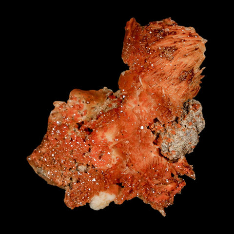 2.5" Sparkly Orange Vanadinite Crystals Orange Barite Blades Mineral Mabladen Morocco - Fossil Age Minerals