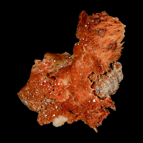 2.5" Sparkly Orange Vanadinite Crystals Orange Barite Blades Mineral Mabladen Morocco - Fossil Age Minerals