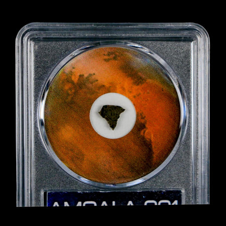 Mars Rock Martian Meteorite Amgala 001 Shergottite Olivine-Phyric COA And Display