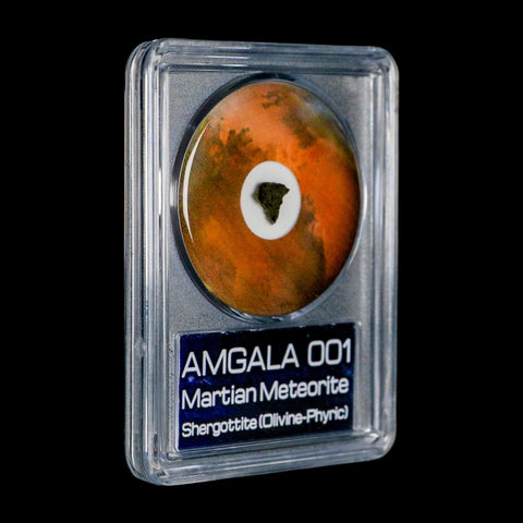 Mars Rock Martian Meteorite Amgala 001 Shergottite Olivine-Phyric COA And Display