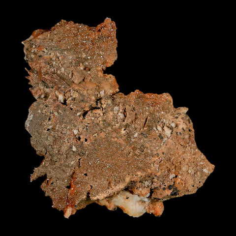 2.5" Sparkly Orange Vanadinite Crystals Orange Barite Blades Mineral Mabladen Morocco - Fossil Age Minerals