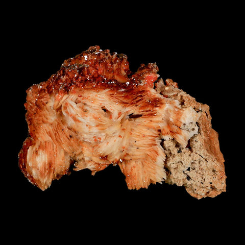 3.3" Sparkly Orange Vanadinite Crystals Orange Barite Blades Mineral Mabladen Morocco - Fossil Age Minerals