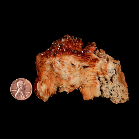 3.3" Sparkly Orange Vanadinite Crystals Orange Barite Blades Mineral Mabladen Morocco - Fossil Age Minerals