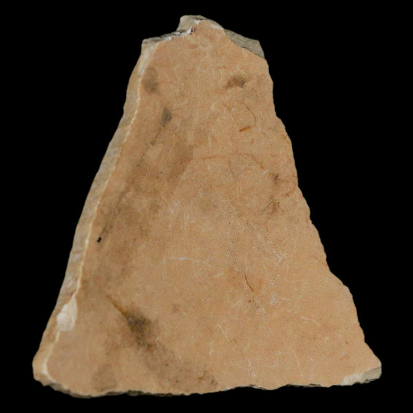 2.5